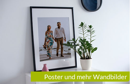 Poster und Wandbilder bestellen