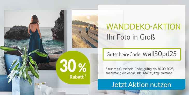 Aktion Wanddeko 